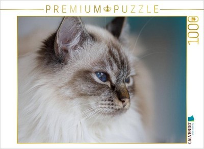 CALVENDO Puzzle Heilige Birma Katze, seal tabby point | 1000 Teile Lege-Größe 64