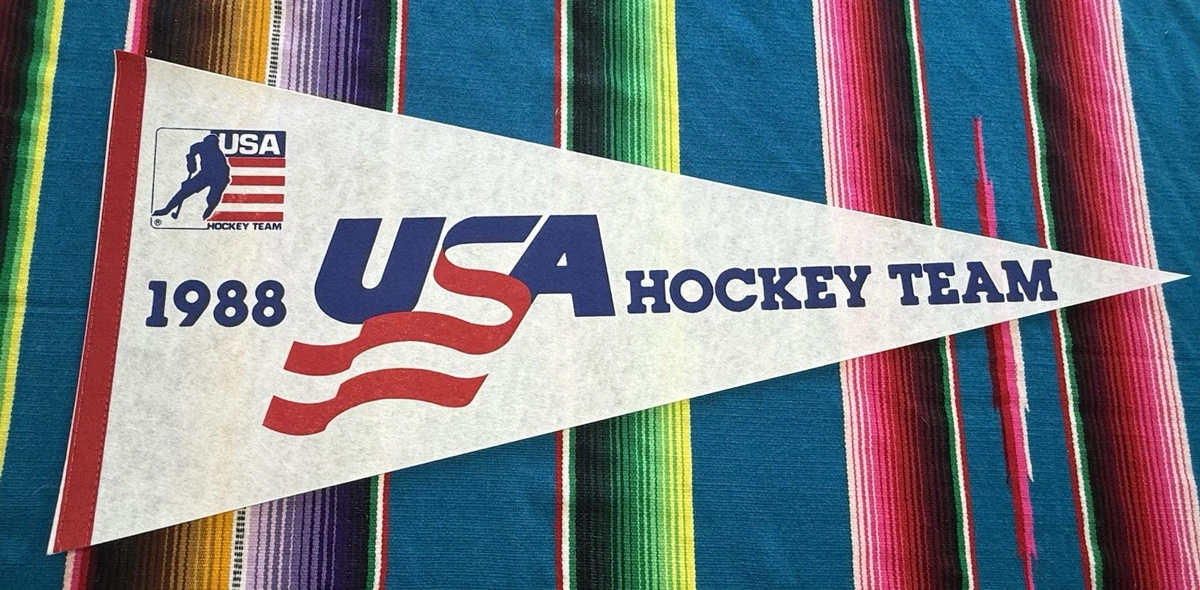 Histoire du hockey sur glace à Düsseldorf / Düsseldorfer Eishockey