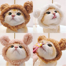 Cat Puppy Small Dog Headwear Funny Hat Animal Bear Costume Hat for Cat Kitten