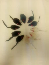 10 TEN ZANIES FURRY MOUSE CAT KITTEN TOY REAL RABBIT FUR MICE