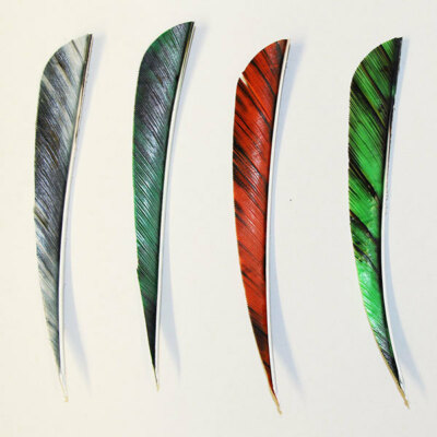 Muddy Buck Gear 5'' Parabolic RW Feathers - 50 Pack - Red
