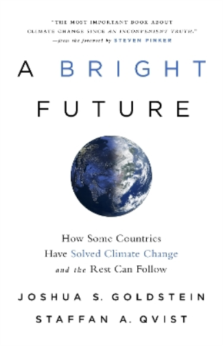 Joshua S. Goldstein A Bright Future (Tascabile)