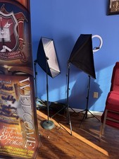 Softbox Lighting Kit with Adjustable Stand, 22 in Square/Rectangle, Black