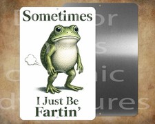 SOMETIMES I JUST BE FARTIN' funny frog 8" x 12" metal sign Made in USA
