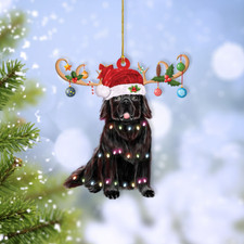 Newfoundland Dog Merry Christmas Ornament, Newfoundland Dog Xmas Lights Ornament