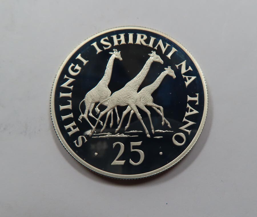 Tingatinga 20×20cm(5) Tanzania Large Silver 25 Shilingi coin 1974 Giraffe PROOF BU