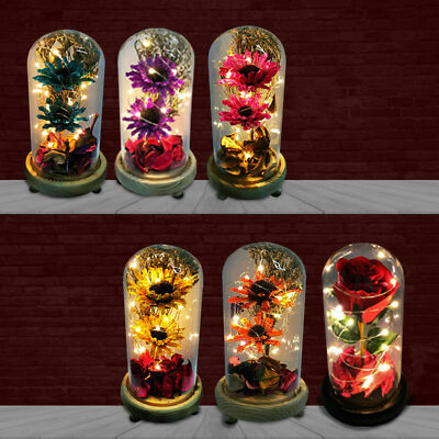 Konservierte Rose Glas Kuppel LED Licht Mama Geburtstag Weihnachten Muttertag Geschenk