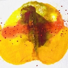 Original Art ‘Pod Love’ Encaustic Wax Painting Matted 14”x11" Frame Ready