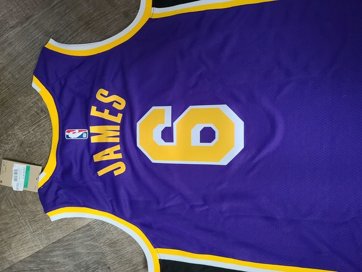 Nike Lebron james #6 los Angeles Lakers purple jumpman Nike Lebron james #6 los Angeles Lakers purple jumpman