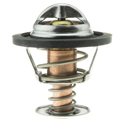 Engine Coolant Thermostat-Stant 13889 , 195 F