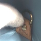 Picture 20 of 20