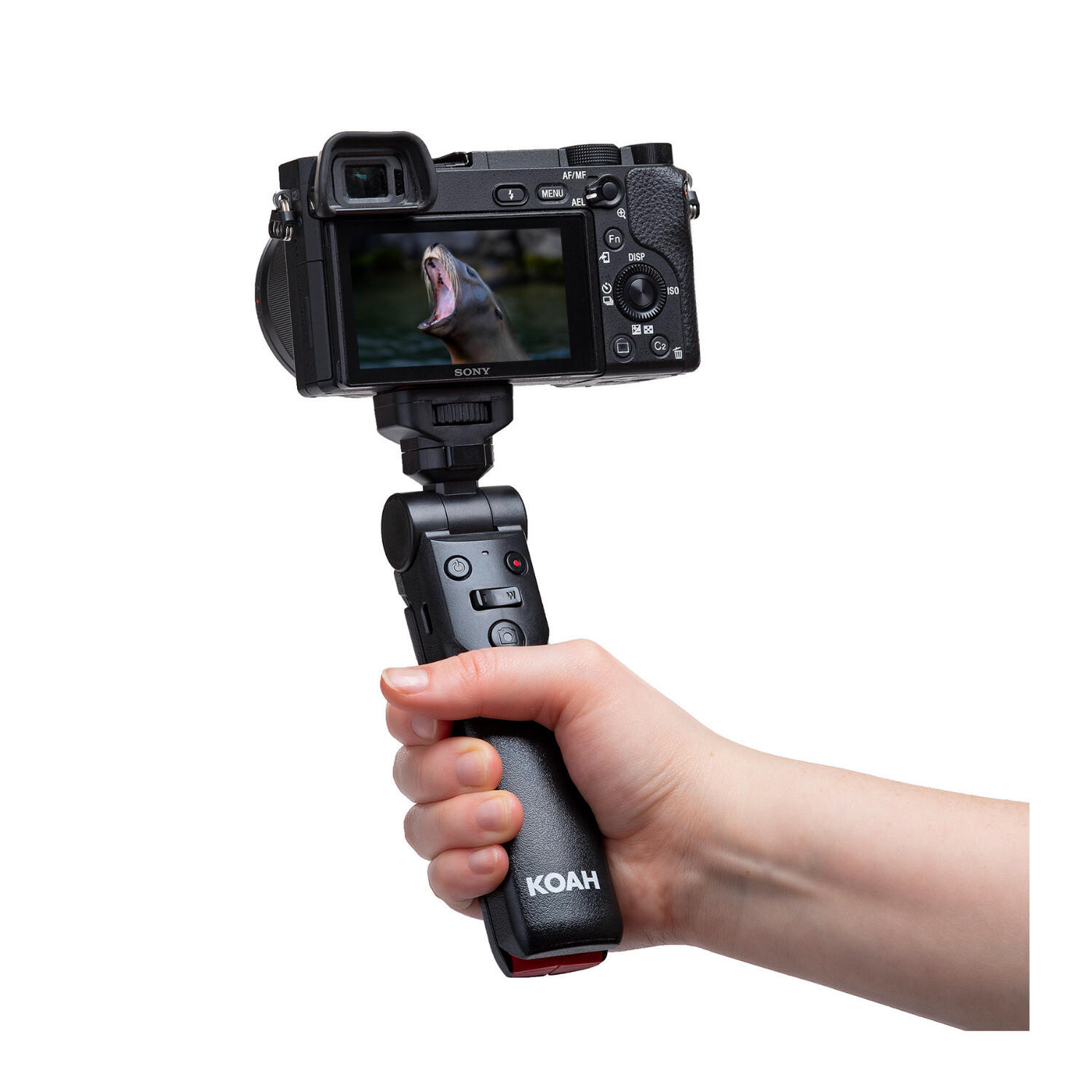 Hollyland Lark M2S Mini Combo M40 40W Koah Vlogging Grip Maxell Storage Bundle