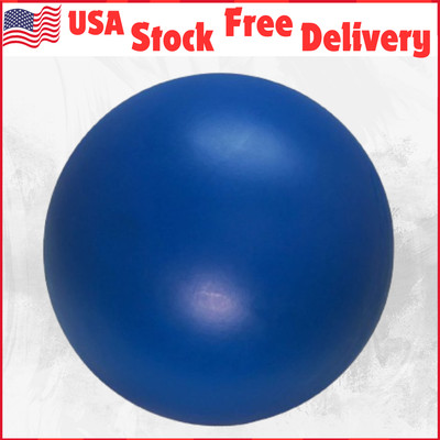 Hard Plastic Ball For Exercise Virtually Indestructible Best Ball for Dogs, 10''