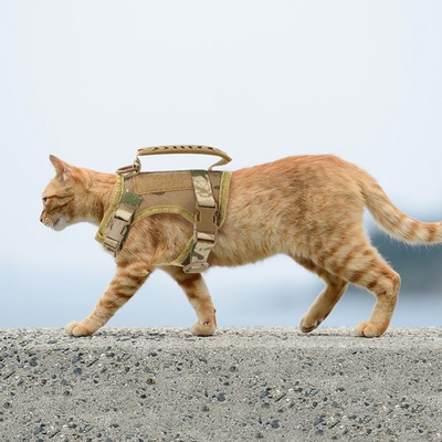 #ad #ad Adjustable Tactical Harness for Cat and Small Dogs Cat Vest $12.99