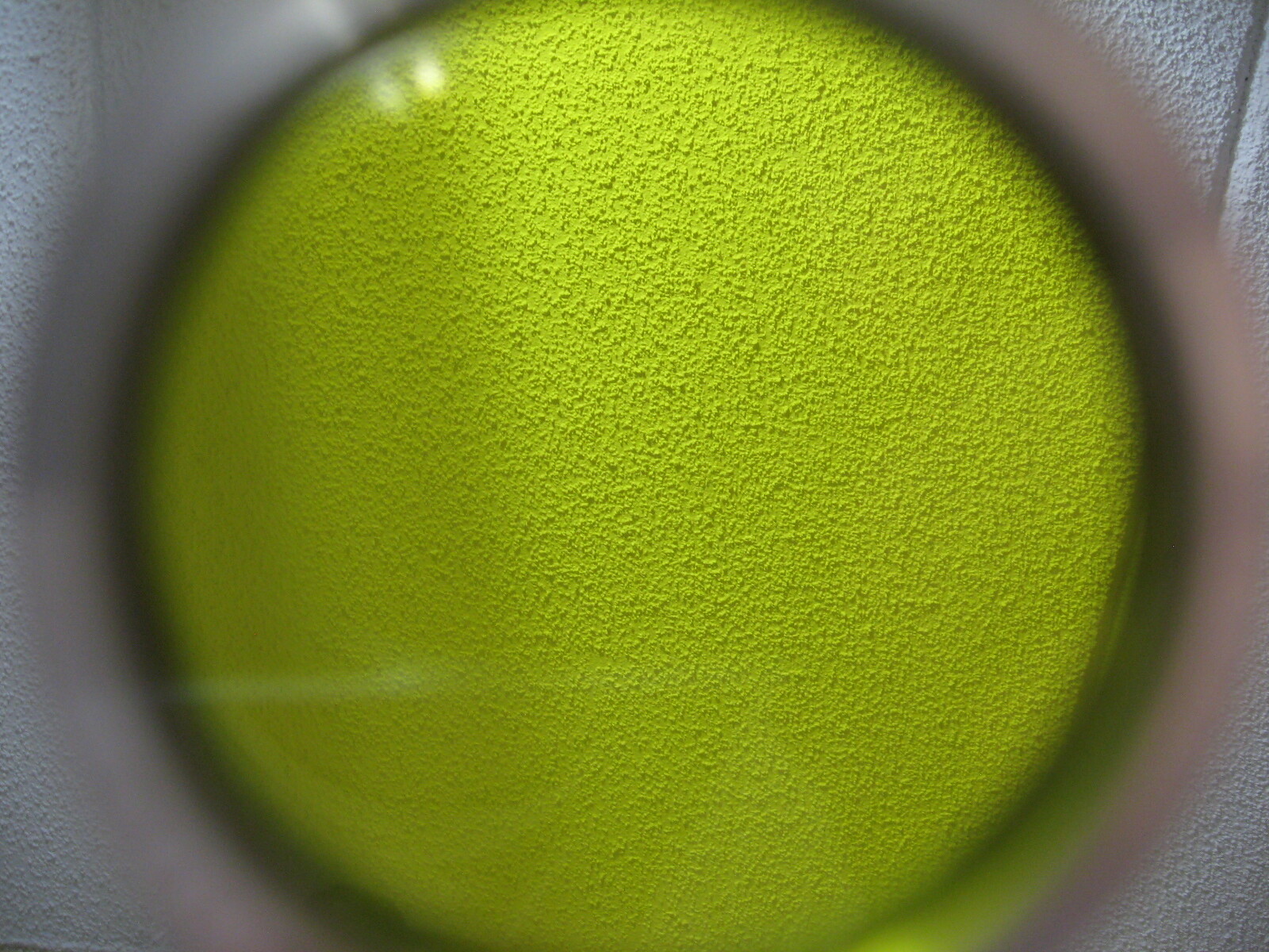Picture 8 of 10