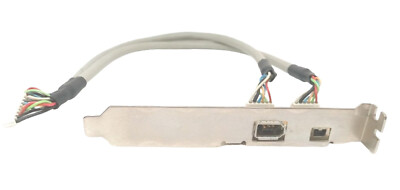 ASUS FIREWIRE 1394 2-PORT 8-PIN RÜCKWANDHALTERUNG [0379013 C100F8-04]