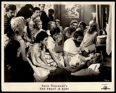 8''x10'' Vintage B&W Celebrity Publicity Photo Picture Fruit is Ripe Rene Thevenet
