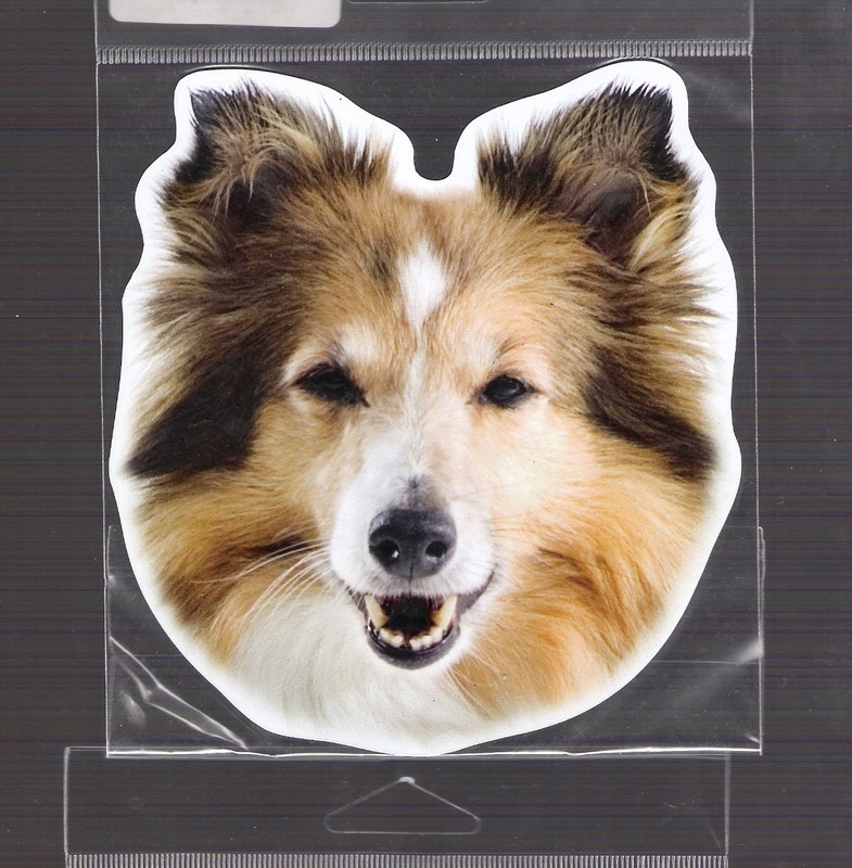 Collie    4 inch face magnet for car or anything metal