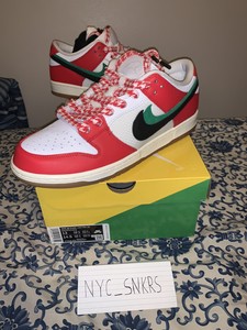 nike sb dunk x frame