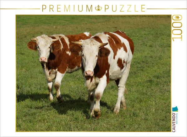 Calvendo Puzzle Cattle Friends | 1000 Pieces, Finished Size 25.2 × 18.9 In (64 ×-image