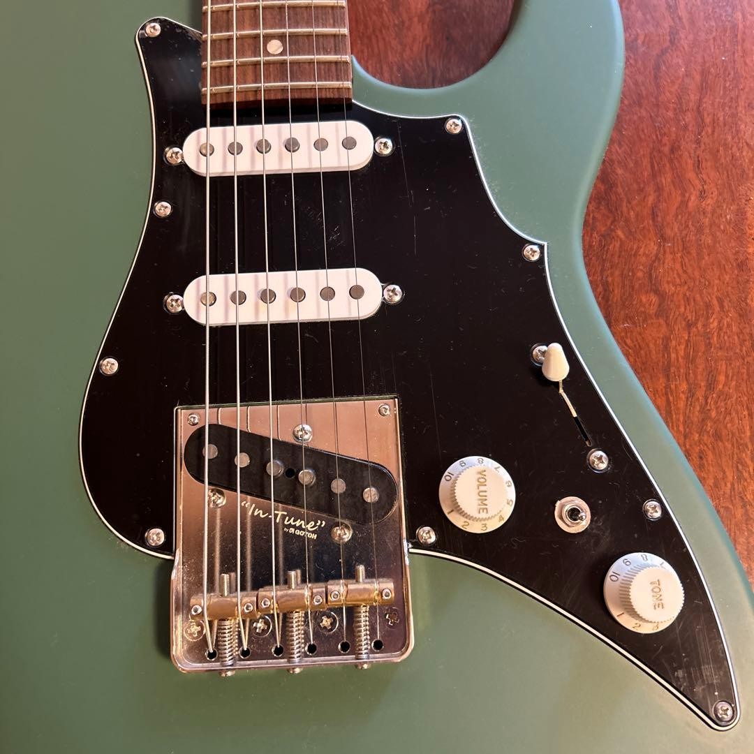 SAITO GUITARS SR-22T-Plus Moss Green | eBay