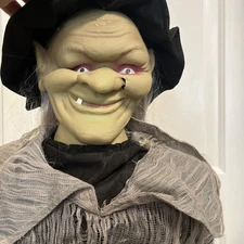 5' Ft Tekky Toys Floating Monsters 🧹Witch Halloween Decoration Animated Sounds