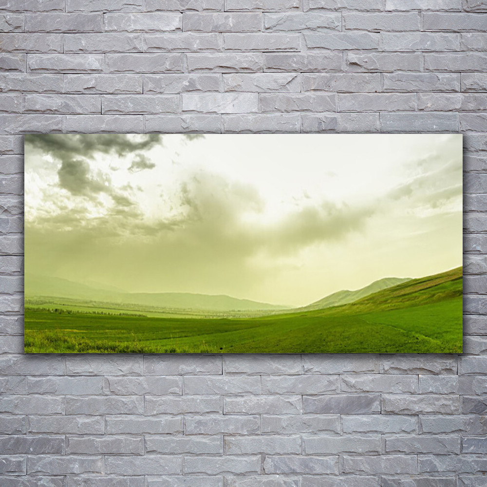 Photo sur toile prairie verdoyante 120x60, grand tableau pour chambre lumineuse