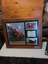 Justify 2018 Triple Crown Winner Framed 19x23