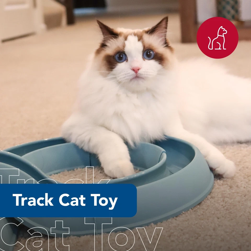 Juguete turbo para gatos para mascotas - Juguete de pelota para gatos y pista de carreras - Fácil montaje - Pizarra azul... Foto 2 de 4