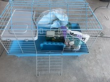 Single Tier Small Animal Cage for Guinea Pig Rabbit, Blue Metal Plastic Base