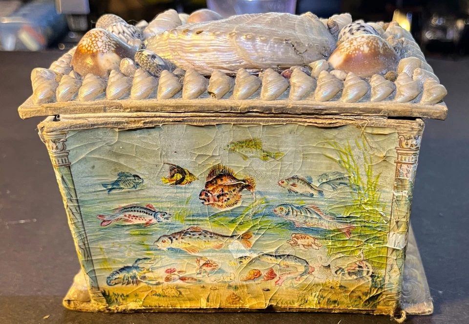 Caja de arte victoriana concha de San Valentín de marinero con diseño de acuario inusual Foto 4 de 4