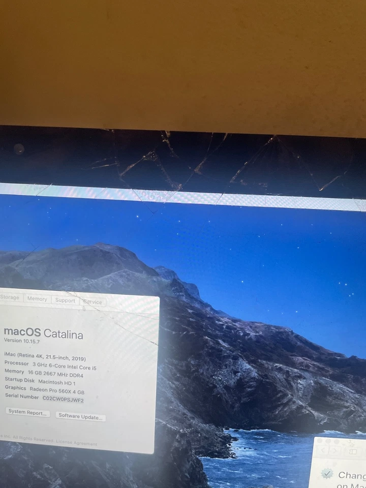 2019 Apple iMac Retina 4K 21.5'' Core i3-8100 16GB RAM 256GB SSD, MRT32LL/A - Image 3 of 3