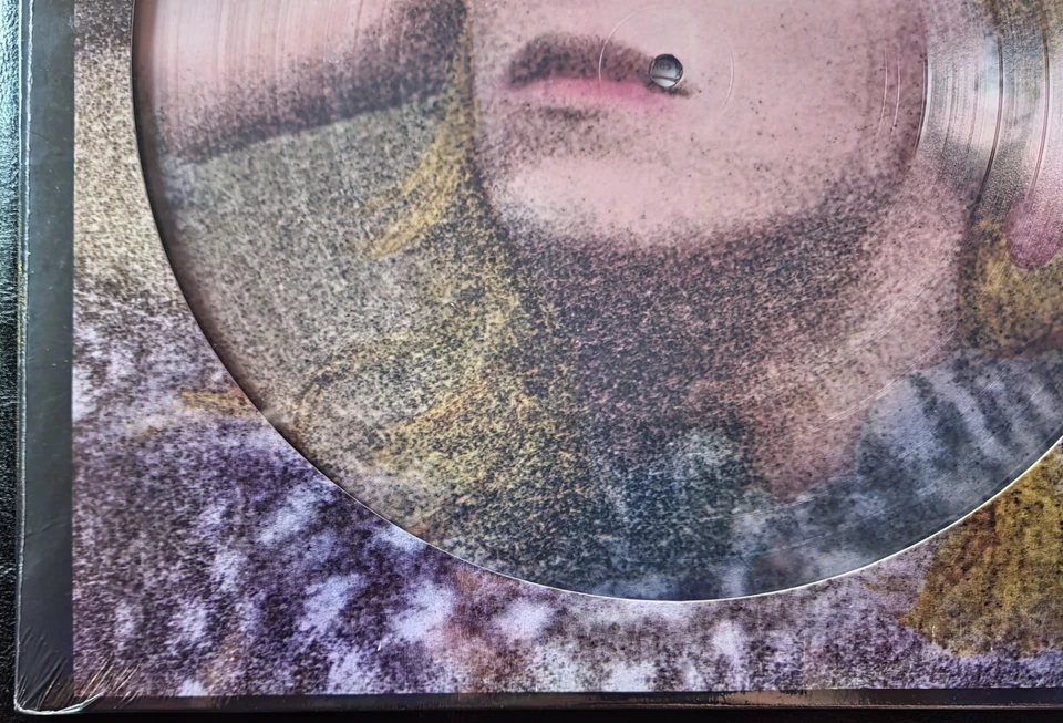 DAVID BOWIE,HUNKY DORY-NEW SEALED VINYL PICTURE DISC-GERMAN IMPORT  PARLOPHONE - Image 4 of 4