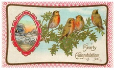 Vintage Postcard Hearty Congratulations Birds Winter Scene Embossed