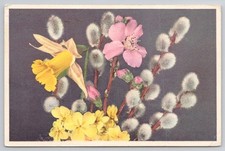 Vintage 1954 London Postcard Spring Flowers Pussy Willow Daffodil Primrose