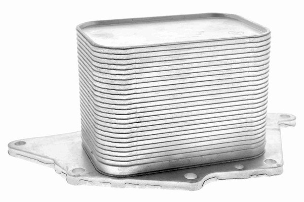 Vemo V20-60-1554 ÖLküHler, MotoröL FüR BMW Mini-image