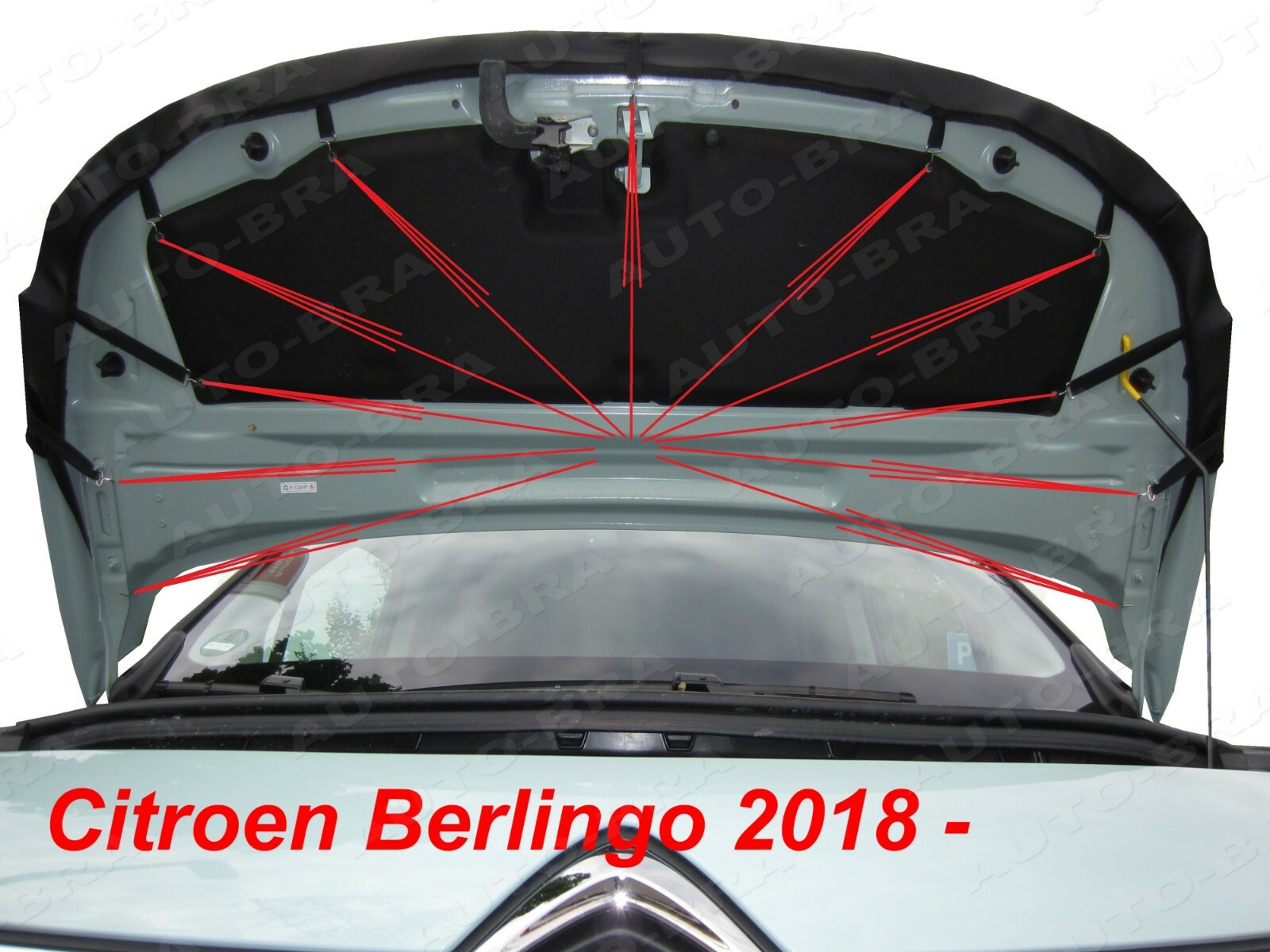 AB3-00390 CARBON OPTIK Auto Bra kompatibel mit Opel Insignia B Bj. seit  2017 Haubenbra Steinschlagschutz Tuning : : Auto & Motorrad