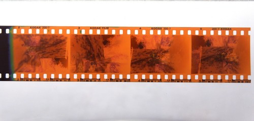 35mm Pinup Girls Risque BH und Pareo Original Farbnegativ (4 Aufnahmen) - Bild 1 von 2