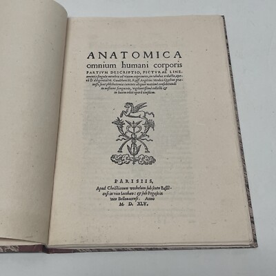 Anatomica omnium humani corporis, 1545 - Drawings