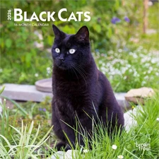 BrownTrout,  Black Cats 2026 Mini Wall Calendar, 7'' X 7'', 16-Month Calendar wi