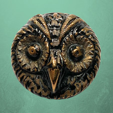 Awesome Antique Brass Owl Face Button