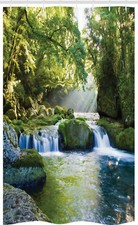 Foresta Tropicale Stretto Tenda Della Doccia Fogliame Nebelgebirge