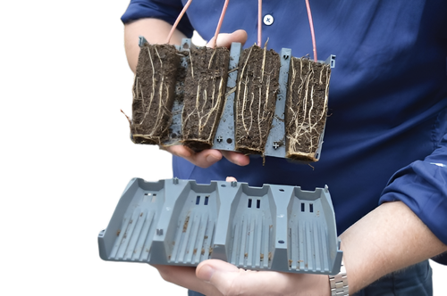 Rootrainer Set Seed Root Trainer Book 28Cell Plug Plant Tray Container Long Life - Picture 4 of 5