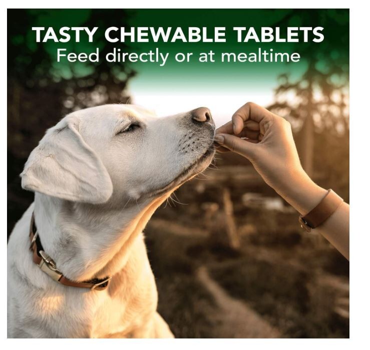 Vet's Best Medicine Allergy for Dogs Itch Skin Rash Itch Relief Dog