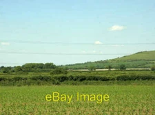 Photo 6x4 2009 : Field of maize near Rowde Manor Farm Devizes Swinging to c2009