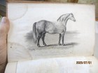 Picture 3 of 6