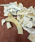 6 lbs Whitetail Deer Antler Scrap remnant Tines Cut Pieces crafts Lot Dog Chew — photo 2