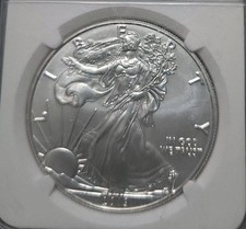 American Eagle MS 69 Graded 2019 Silver Bullion Coins for sale | eBay