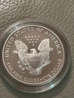 2004 USA Silver Eagle Brilliant Uncirculated 1 Oz .999 Fine Silver capsule