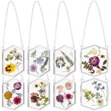 8 Pcs Pressed Flower Frames Dried Flower Hanging Glass Frame 3.7'' x 3.3'' Vi...